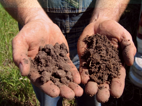 Figure 1c Soil in Hands